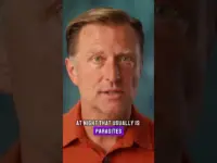 Spot Parasites: 5 Signs Your Body Needs Help