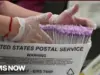 Supreme Court Weighs Mail-In Ballot Deadlines