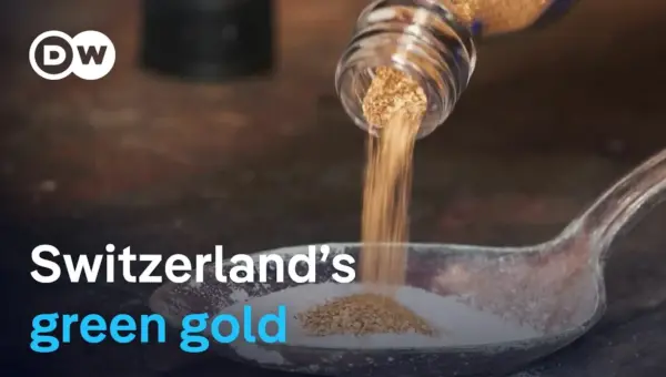 Swiss Prospectors Find Gold Sustainably in Gravel Pits