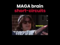 Trump Supporters Link Democrats to Slavery and Treason