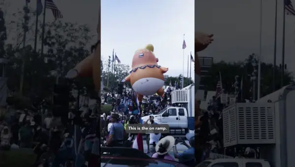 Trumpism’s Fall? Voters Spark a Movement for Change