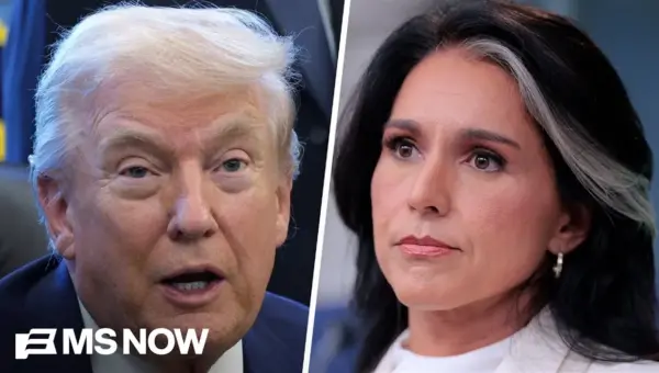 Tulsi Gabbard Faces Scrutiny Over Iran Intel in Heated Hearing