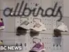 Allbirds Pivots to AI Infrastructure After Selling Shoe Business