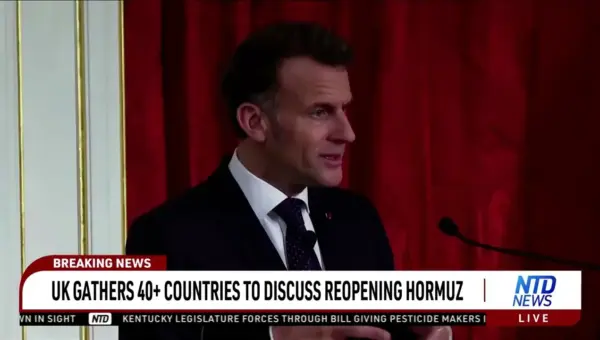 Allies Seek Hormuz Path Without US Military Might