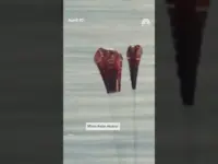 Artemis II Astronauts Safely Splash Down After Moon Mission