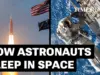 Artemis II Astronauts Test Systems, Prepare for Moon Voyage