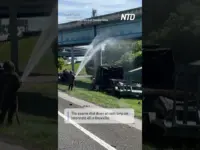 Bee Swarm Shuts Down Highway After Truck Wreck