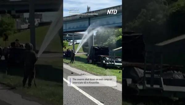 Bee Swarm Shuts Down Highway After Truck Wreck