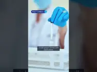 Bee Venom’s Cancer Claims Debunked by Science