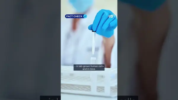 Bee Venom’s Cancer Claims Debunked by Science