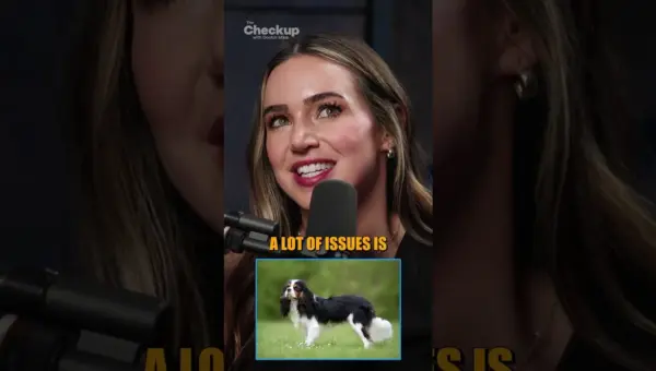 Breed Bans? Understanding Dog Health Risks