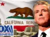 California Faces $180 Billion Fraud Crisis Under Newsom