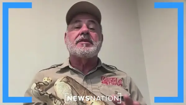 California’s Warmer Spring Fuels Rattlesnake Surge