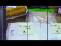 China Fuels Deadly ‘Rhino Tranquilizer’ Drug Surge