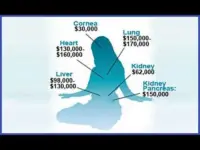 China’s Organ Harvesting: EU Parliament Faces Pressure to Act