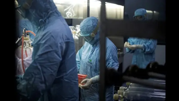 Chinese Scientist Jailed for Smuggling Dangerous DNA