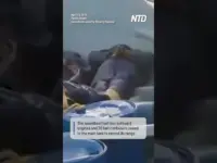 Costa Rica Busts 2 Tons of Cocaine, Nabs Colombian Suspects