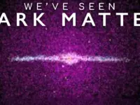 Dark Matter Signal Detected in Our Galaxy