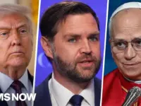 Democrat Slams Trump, Vance for Attacking Pope Over Iran War