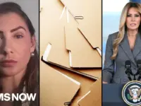 Epstein Survivor Questions First Lady’s Call for Public Testimony