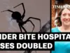 False Widow Bites Rise: Doctors Strike Over NHS Workforce Woes