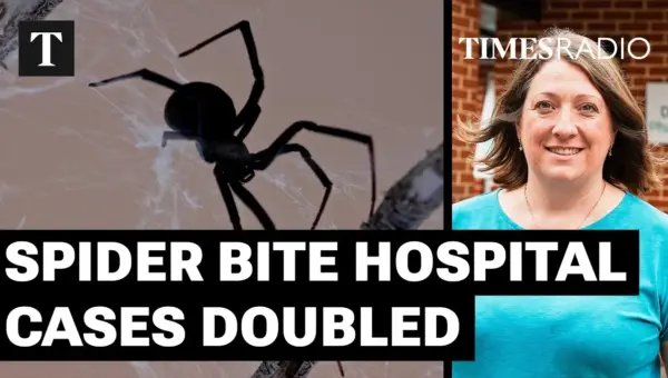False Widow Bites Rise: Doctors Strike Over NHS Workforce Woes