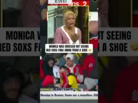 Fans Drink Beer From Shoes in Wild Tigers Win!