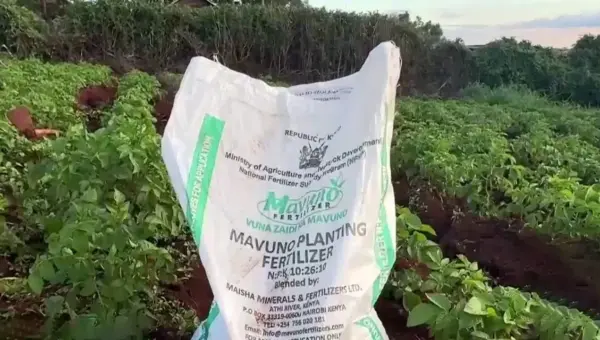 Fertilizer Crisis Looms: Iran’s Strait Closure Threatens US Farms