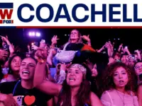 Festival Safety: Expert Tips for Large Crowds