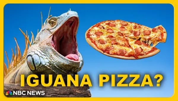 Florida Pizzeria Serves Iguana Pizza to Fight Invasive Species