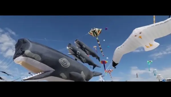 France’s Kite Fest Soars: A Global Spectacle of Color