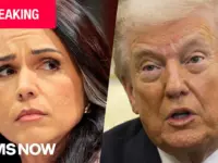 Gabbard Refers Trump Whistleblower for Prosecution