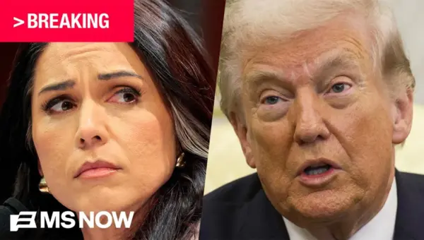 Gabbard Refers Trump Whistleblower for Prosecution