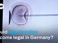 German Women Seek Fertility Treatment Abroad Due to Egg Donation Ban