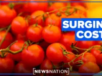 Global Conflict Fuels Food Price Hikes for Americans