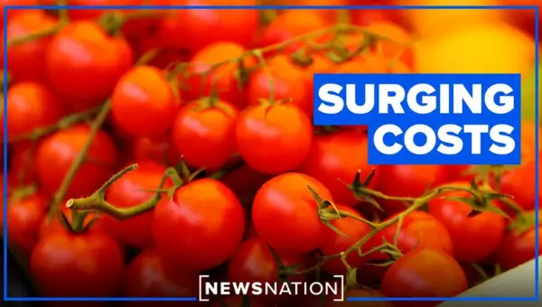 Global Conflict Fuels Food Price Hikes for Americans