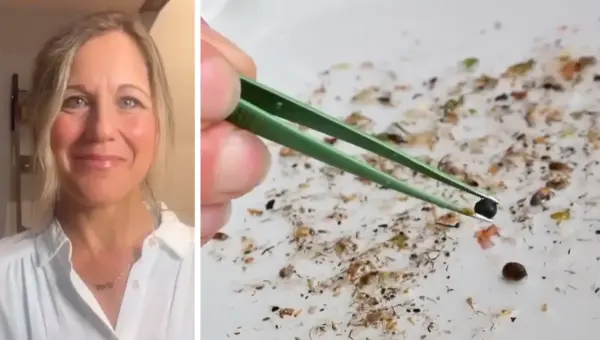 Government Admits Microplastics Pose Health Threat