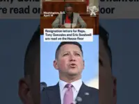 House Members Resign Amidst Allegations and Calls for Expulsion