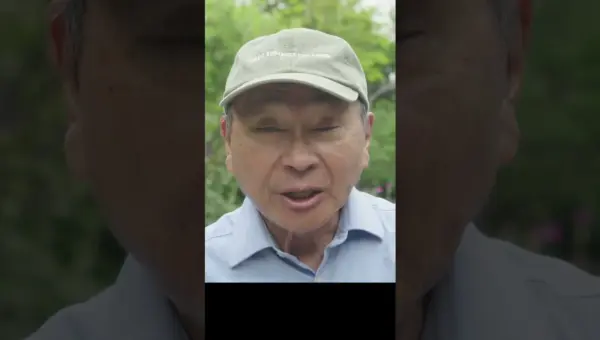 Hungary Votes: Orban’s Illiberal Democracy Tested