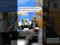 ICE Detains DACA Dad; Congress Cites MS NOW Report