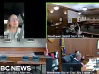 Judge Scolds Woman Driving During Virtual Court Hearing