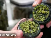 Justice Dept. Reclassifies Medical Marijuana to Less Dangerous Drug