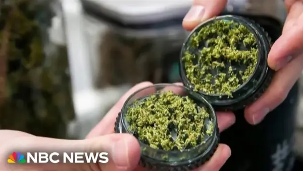 Justice Dept. Reclassifies Medical Marijuana to Less Dangerous Drug