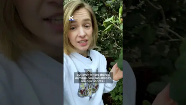 Kyiv Botanical Garden Fights Back Against Winter’s Chill