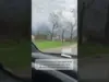 Lena’s Fury: Tornado Devastates Illinois Village