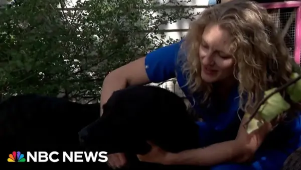 Meth-Laced Hot Dogs Poison Family Pets in Broomfield