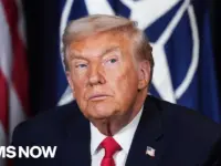 NATO Allies ‘Exhausted’ by Trump’s Actions, Ex-Amb. Warns