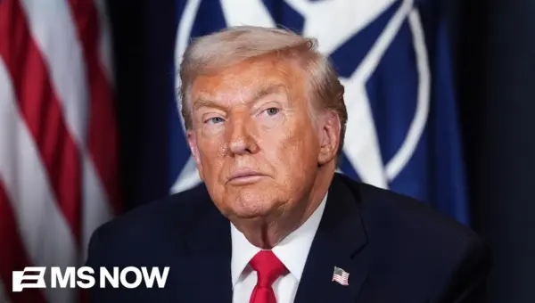 NATO Allies ‘Exhausted’ by Trump’s Actions, Ex-Amb. Warns