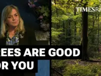 Nature’s Healing Power: Green Spaces Boost Health, Study Shows