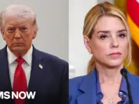 Pam Bondi Fired From DOJ Amid Epstein, Prosecution Turmoil